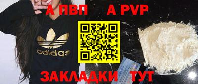 стаф Шебекино