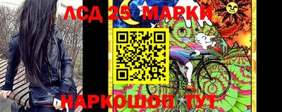 стаф Шебекино