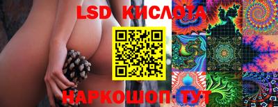 стаф Шебекино