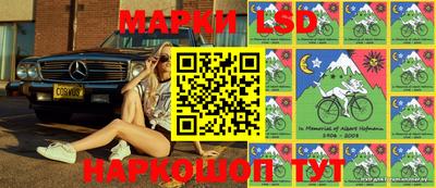 стаф Шебекино