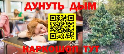 стаф Шебекино