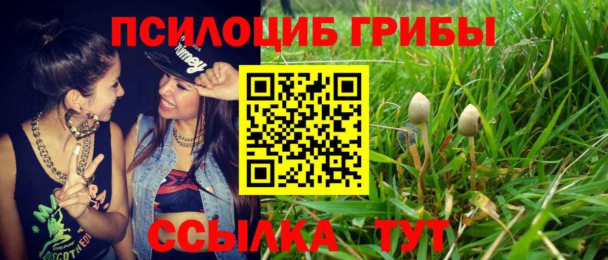 Псилоцибиновые грибы GOLDEN TEACHER  Вход с VPN  Псилоцибиновые грибы Psilocybine cubensis  Владивосток 